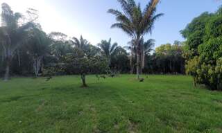 Terrain  15221 m² à vendre à Mana (97360)