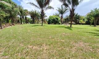 Terrain  15221 m² à vendre à Mana (97360)