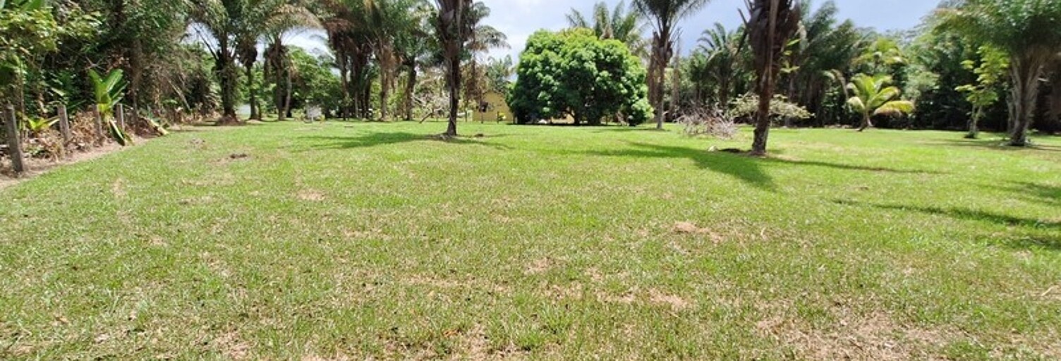 Terrain  15221 m² à vendre à Mana (97360)