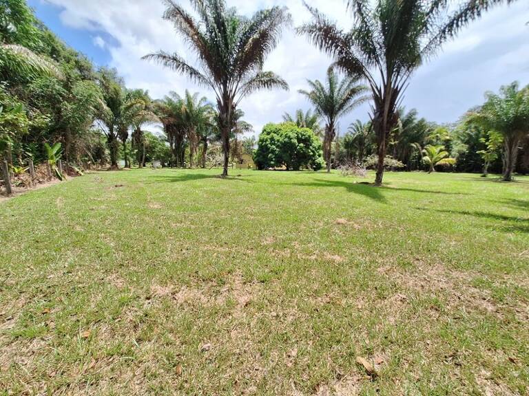 Terrain à vendre de 15 221,00 m² MANA (973) — photo 1