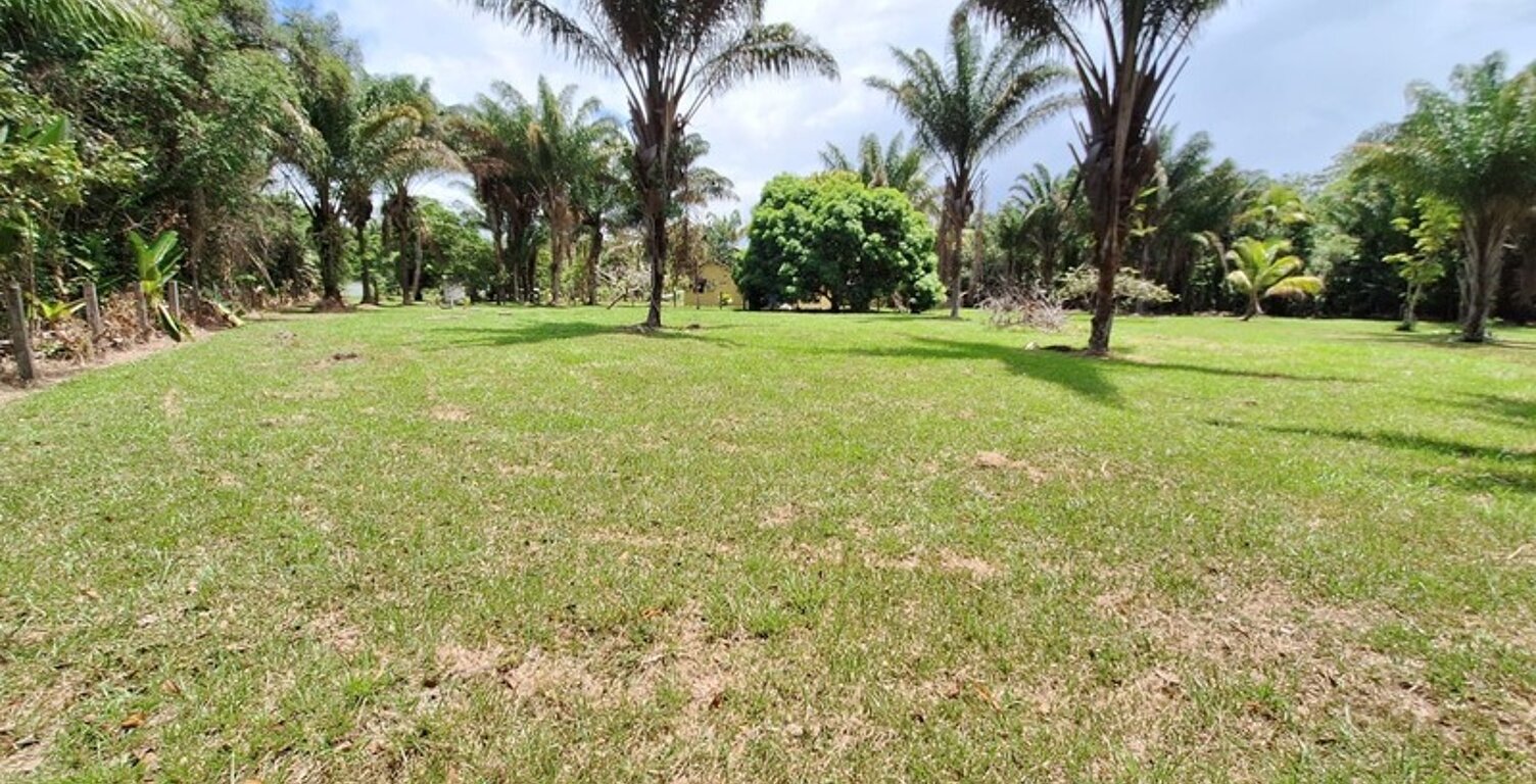 Terrain à vendre de 15 221,00 m² MANA (973) — photo 1