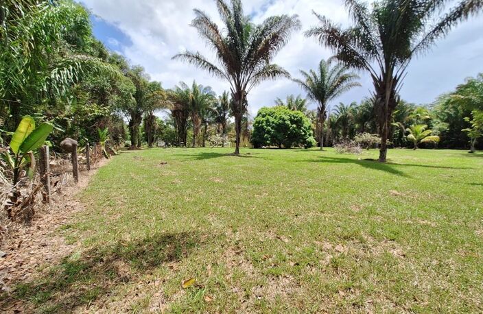 Terrain à vendre de 15 221,00 m² MANA (973) — photo 3