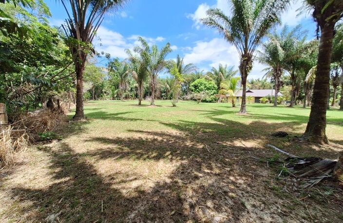 Terrain à vendre de 15 221,00 m² MANA (973) — photo 4