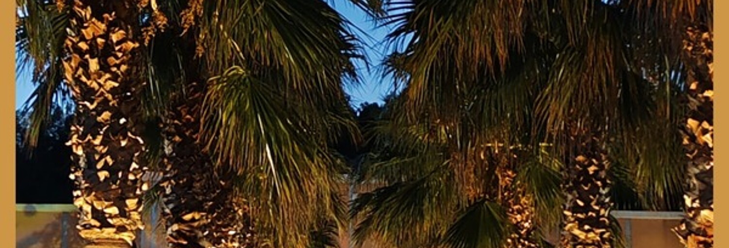 Commerce 20 Pièces 1050 m² à vendre à Poussan (34560)