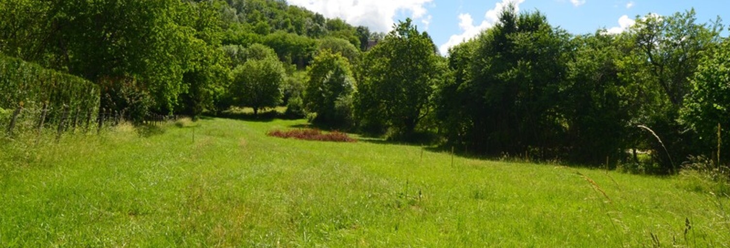 Terrain  2495 m² à vendre à Digna (39190)