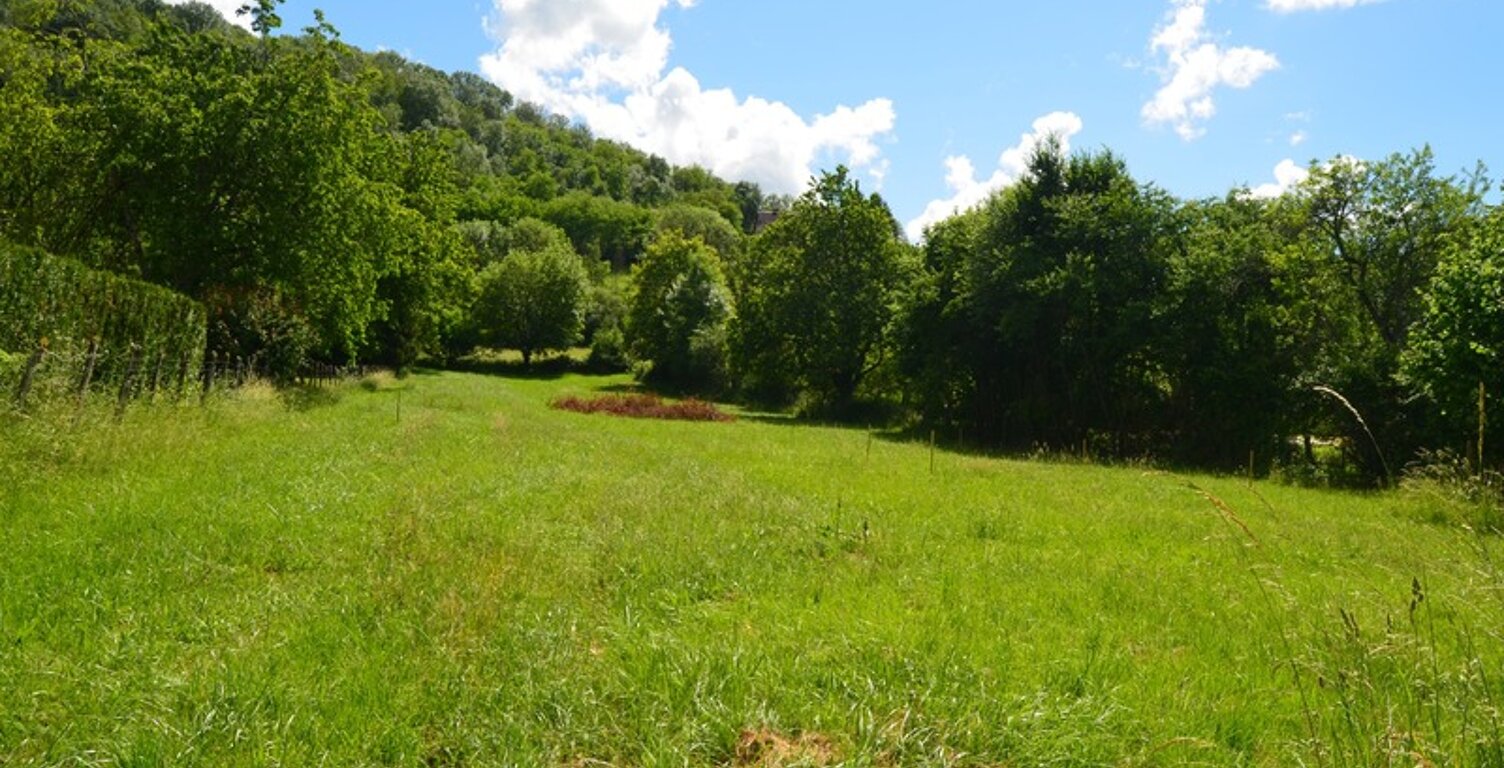 Terrain à vendre  DIGNA (39) — photo 1