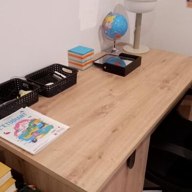 Appartement 1 pièces 390 €