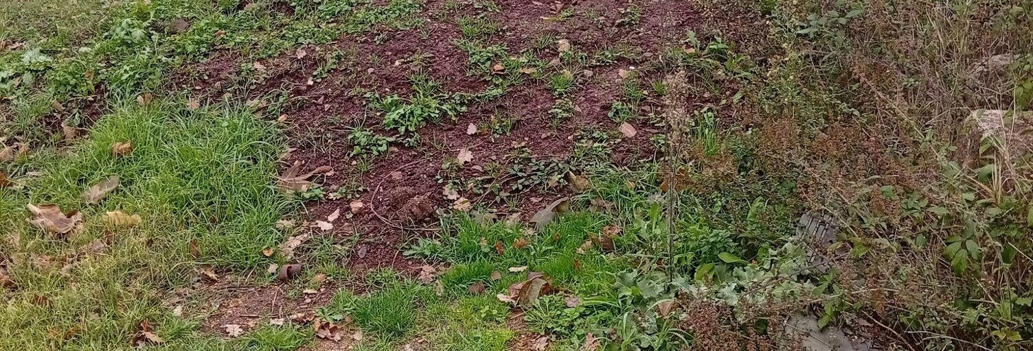 Terrain  600 m² à vendre à Le Thoronet (83340)