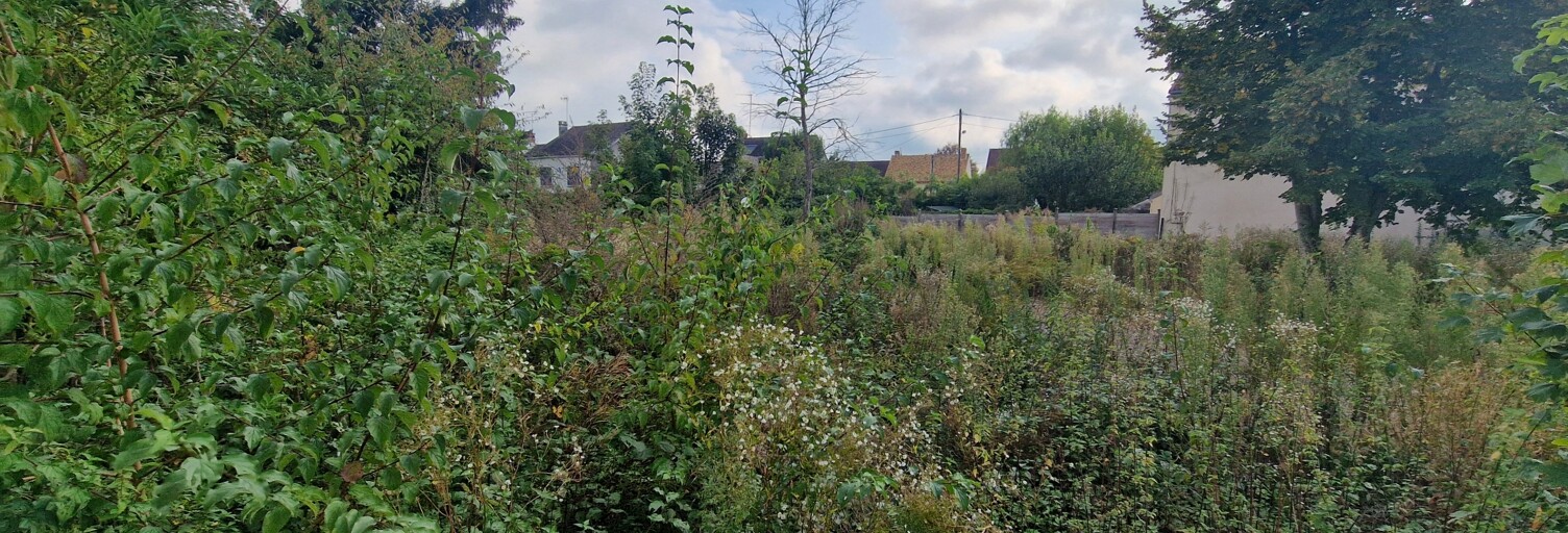Terrain  553 m² à vendre à Milly-la-Forêt (91490)