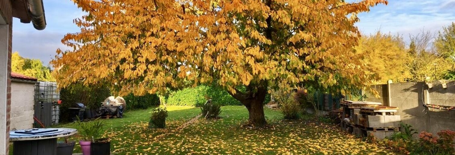 Maison 4 Pièces 105 m² à vendre à Gondecourt (59147)