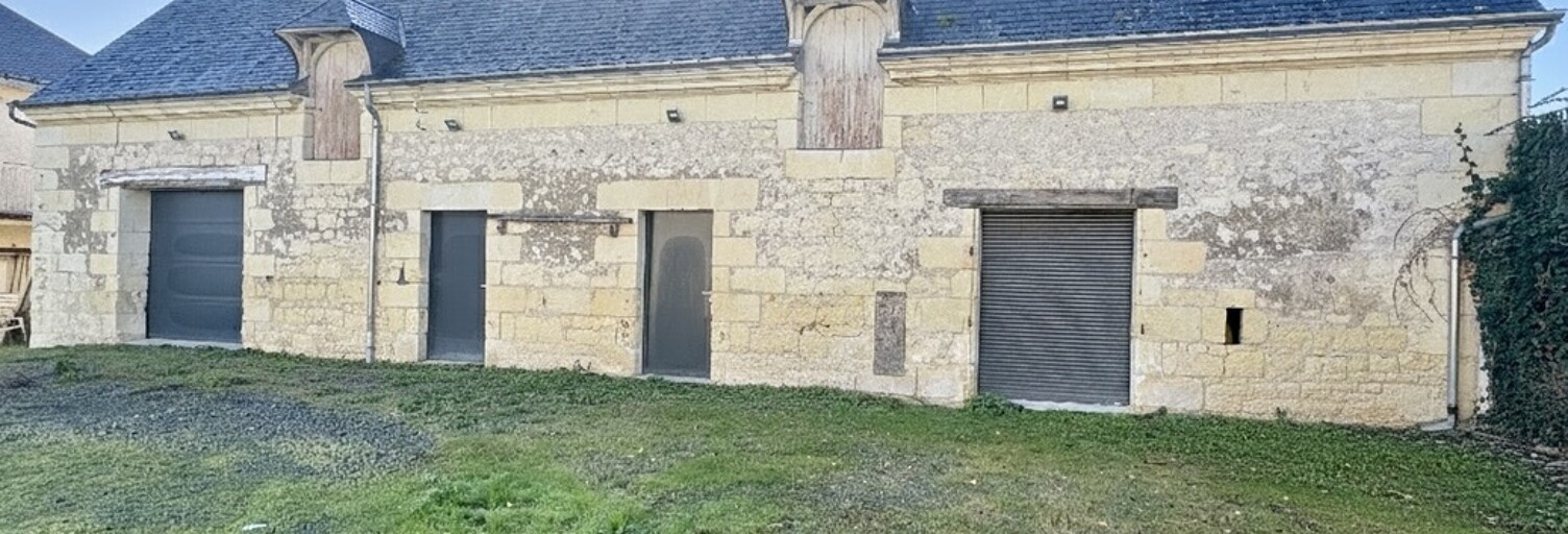 Maison 9 Pièces 400 m² à vendre à Restigné (37140)