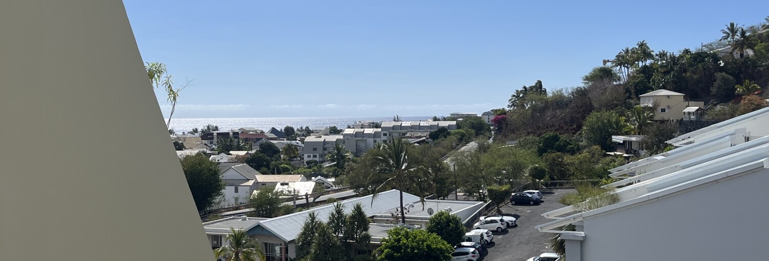 Appartement 1 Pièce 28 m² à vendre à Saint-Paul (97434)