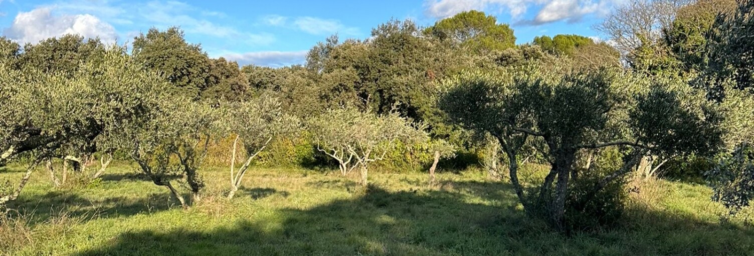 Terrain  1764 m² à vendre à Saint-Siffret (30700)