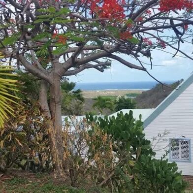 Maison 3 pièces 300000 €