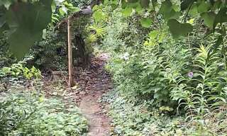 Maison 3 Pièces 50 m² à vendre à Valenton (94460)