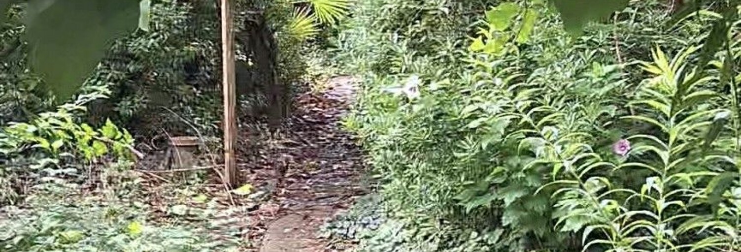 Maison 3 Pièces 50 m² à vendre à Valenton (94460)