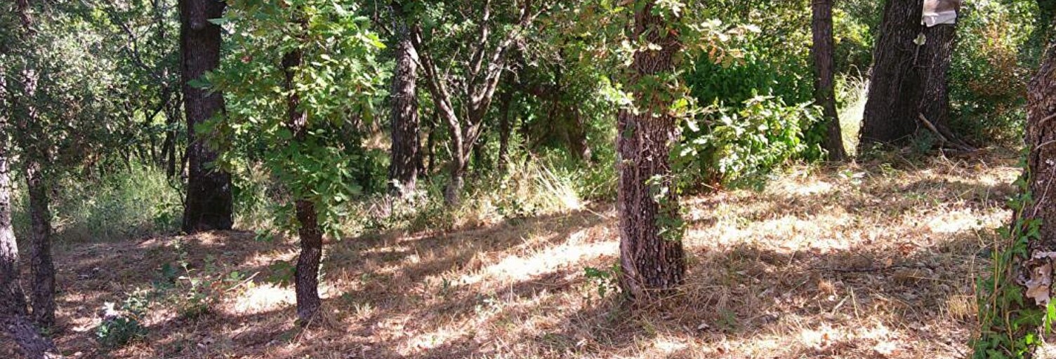 Terrain  1200 m² à vendre à Les Mayons (83340)