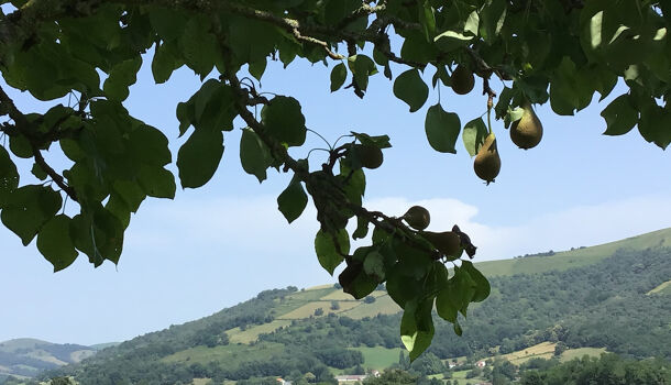 Villa / Maison 7 pièces  à vendre Larceveau-Arros-Cibits 64120