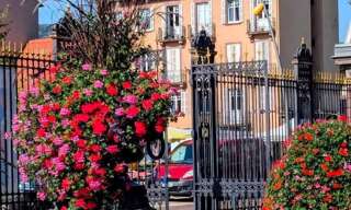 Appartement 5 Pièces 96 m² à vendre à Saverne (67700)