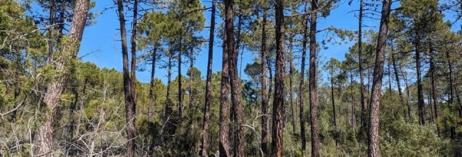 Terrain  49930 m² à vendre à Sillans-la-Cascade (83690)