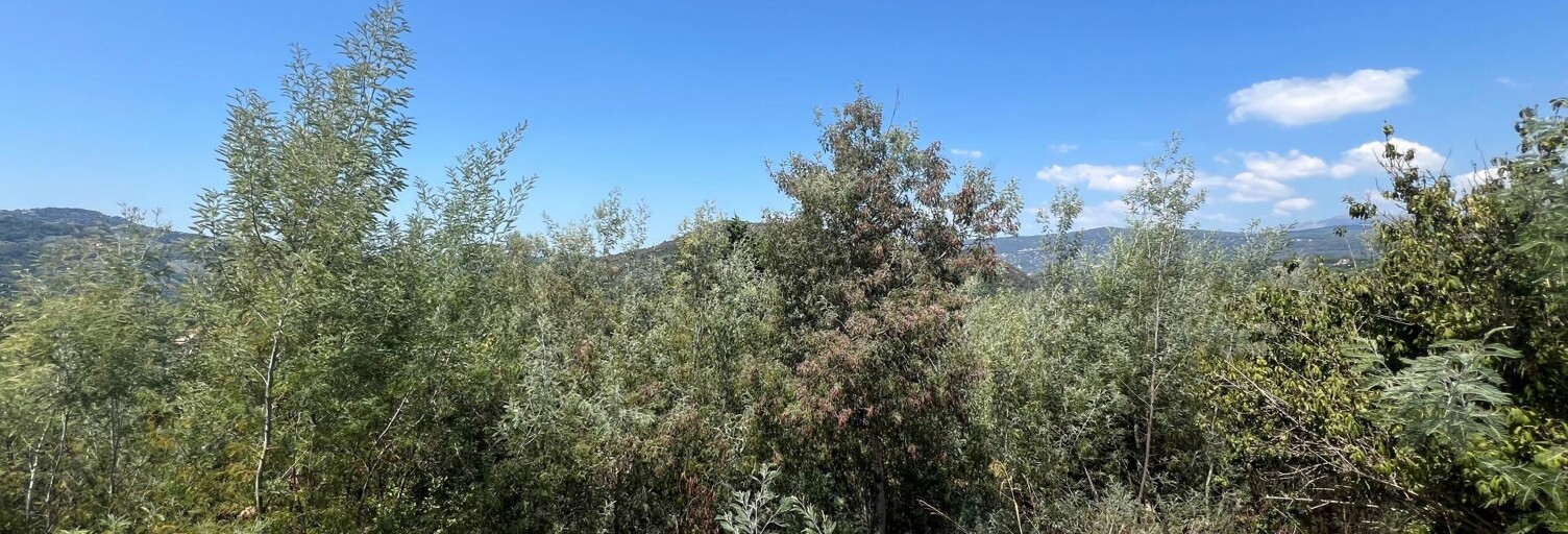 Terrain  1158 m² à vendre à Auribeau-sur-Siagne (06810)