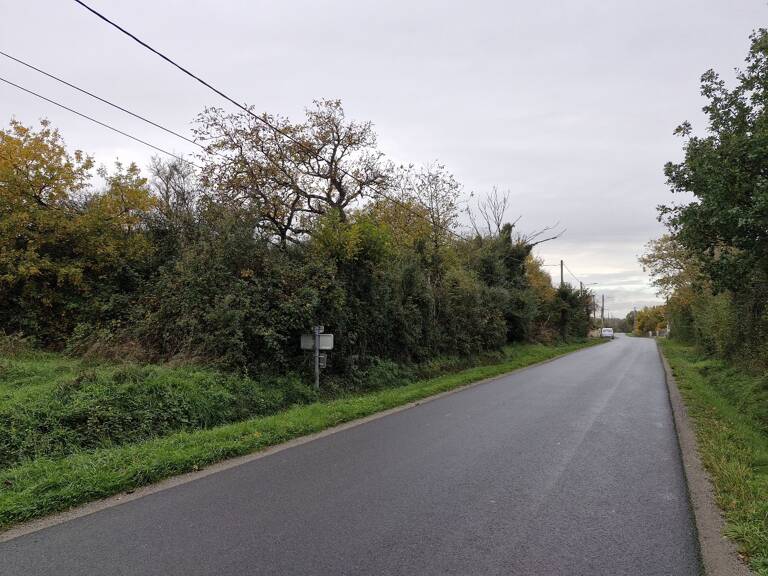 Terrain — photo 1