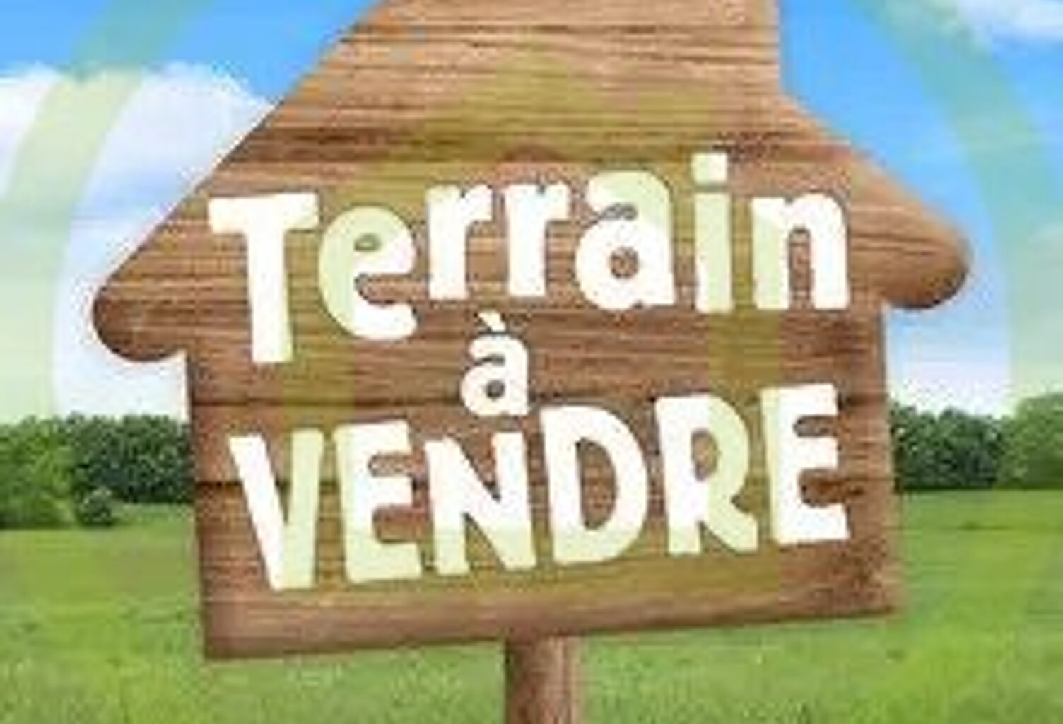 Terrain — photo 1