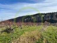 Terrain — photo 2