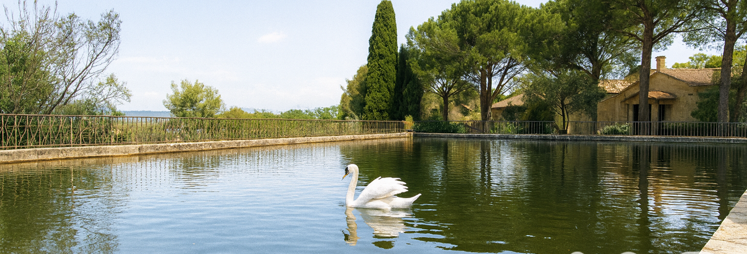 Maison 21 Pièces 660 m² à vendre à Solliès-Pont (83210)