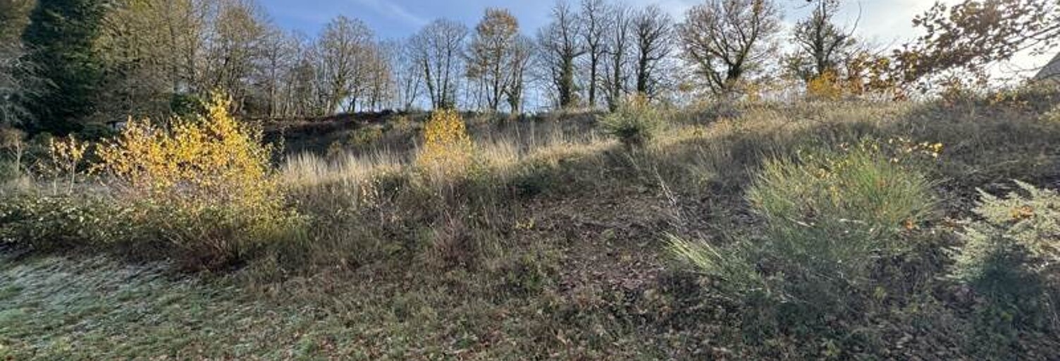 Terrain  6040 m² à vendre à Saint-Yrieix-la-Perche (87500)