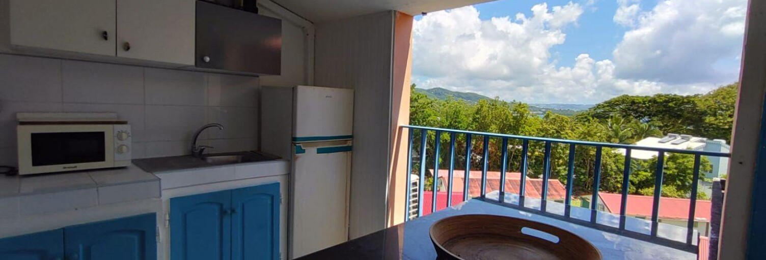 Appartement 1 Pièce 17 m² à vendre à Le Diamant (97223)