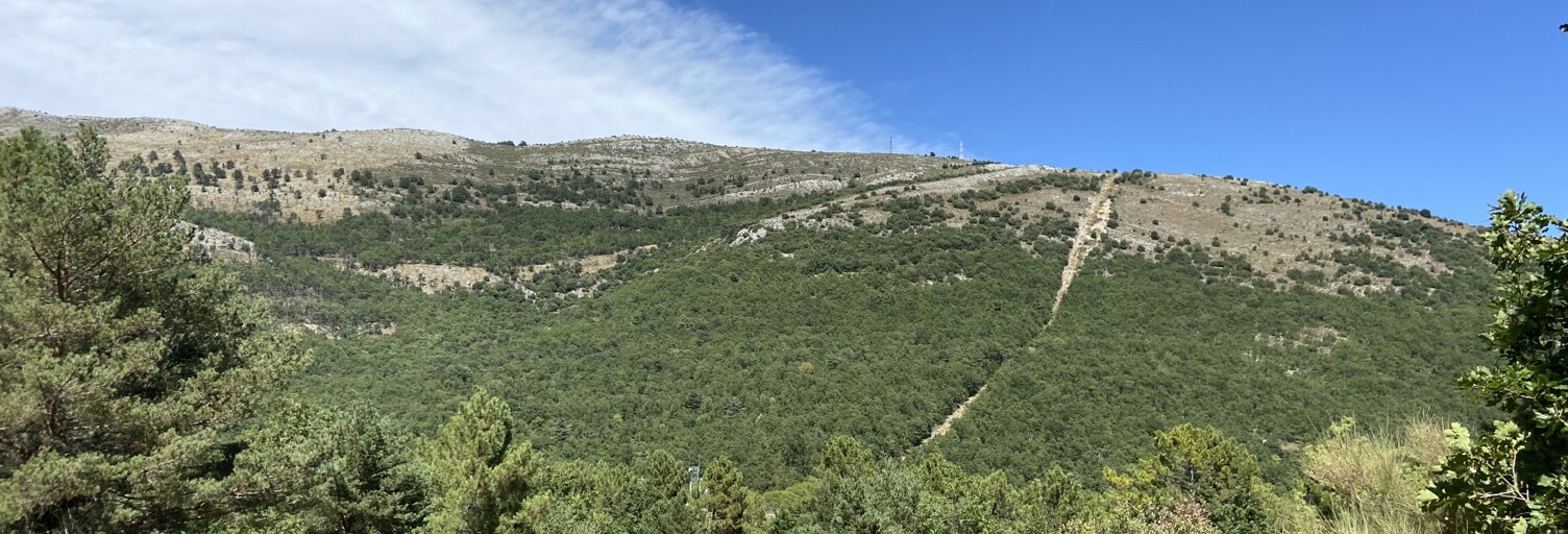 Terrain  28000 m² à vendre à Saint-Vallier-de-Thiey (06460)