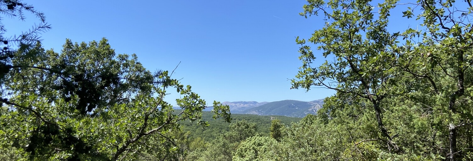 Terrain  18480 m² à vendre à Saint-Vallier-de-Thiey (06460)