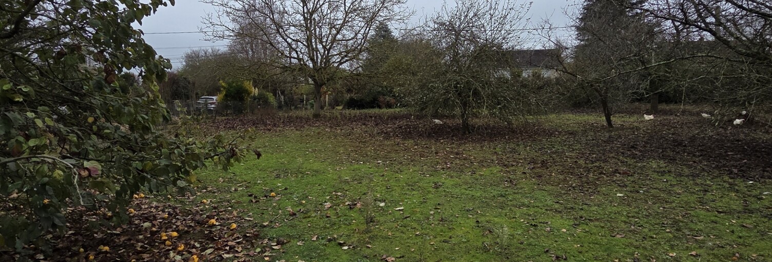 Terrain  638 m² à vendre à Savigné-l'Évêque (72460)