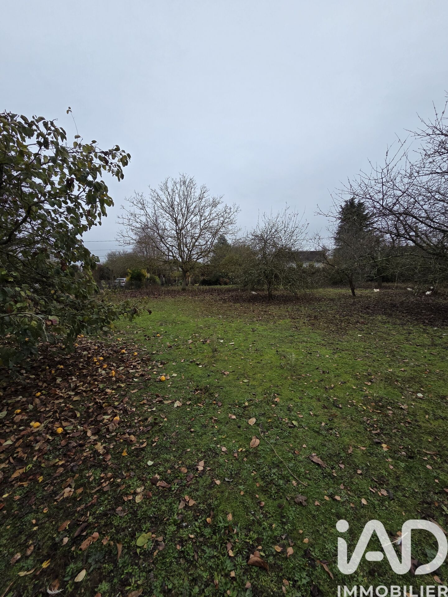 Savigne-L-Eveque - 638m²