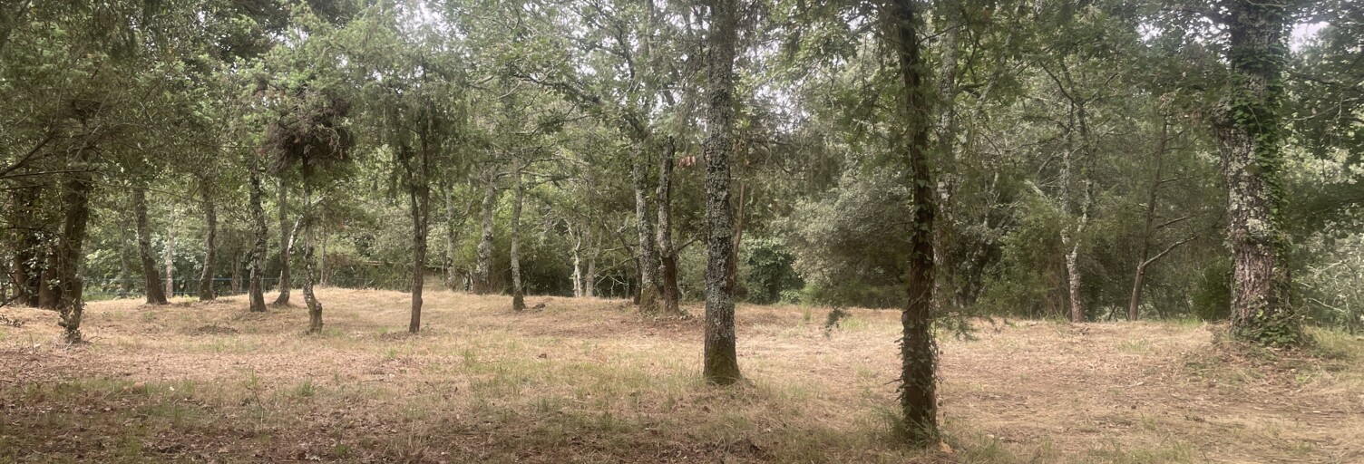 Terrain  4376 m² à vendre à Lagorce (07150)