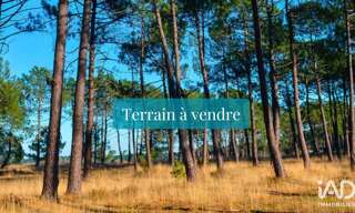 Terrain  498 m² à vendre à Tosse (40230)