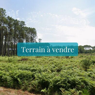 Terrain  110000 €