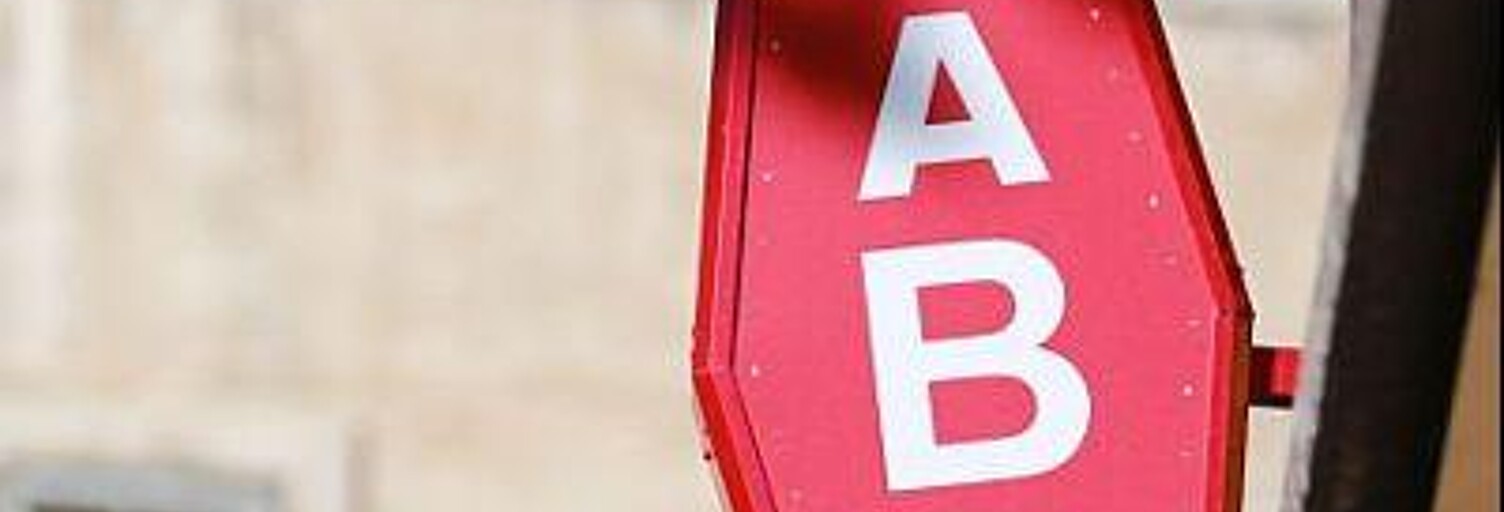 Commerce  180 m² à vendre à Segré-en-Anjou Bleu (49520)