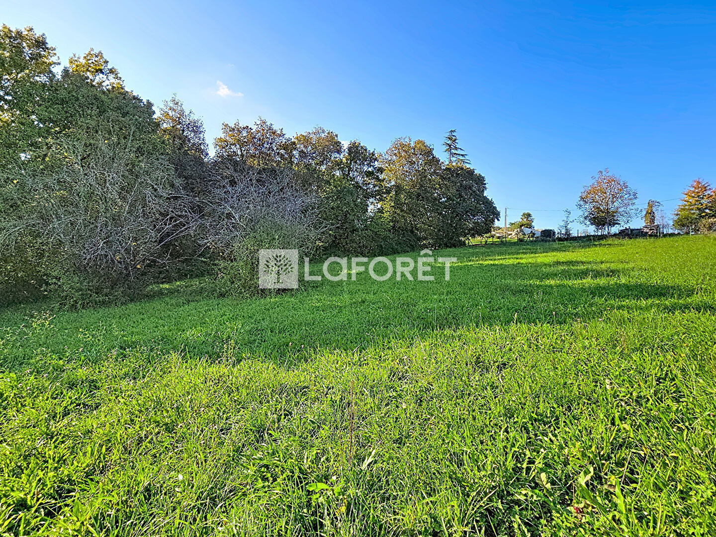 Terrain  à vendre Orthez 64300