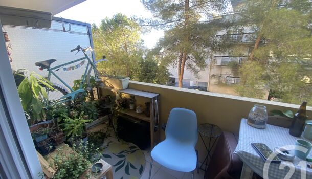 Appartement 1 pièces  à louer Montpellier 34090