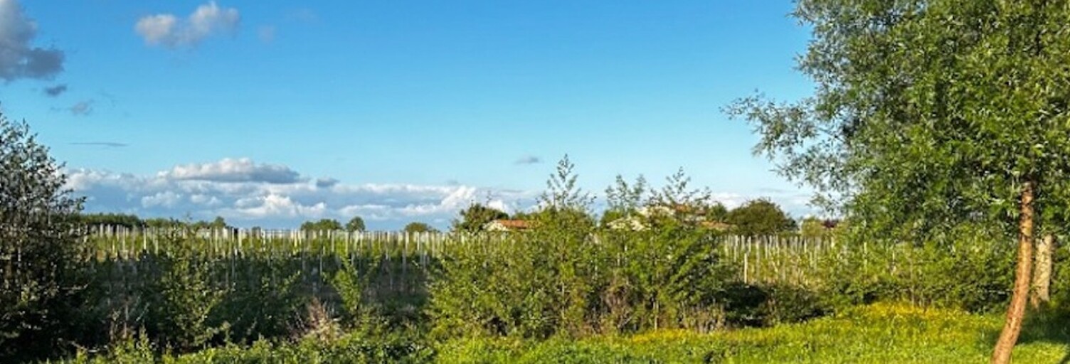 Terrain  700 m² à vendre à Néac (33500)