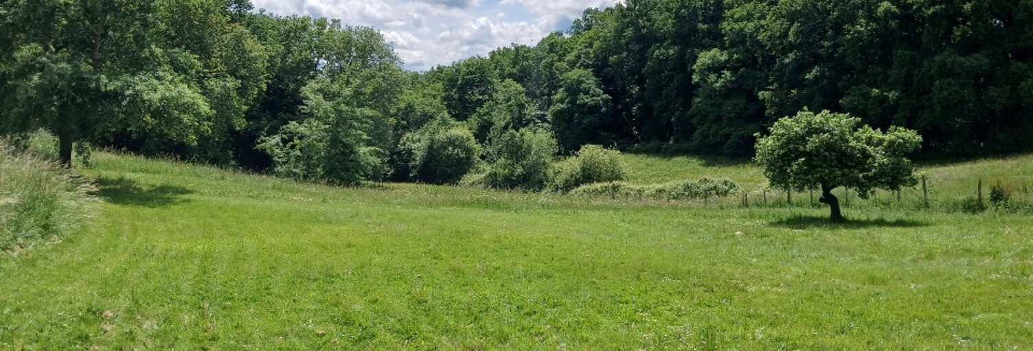 Terrain  1300 m² à vendre à Créon (33670)