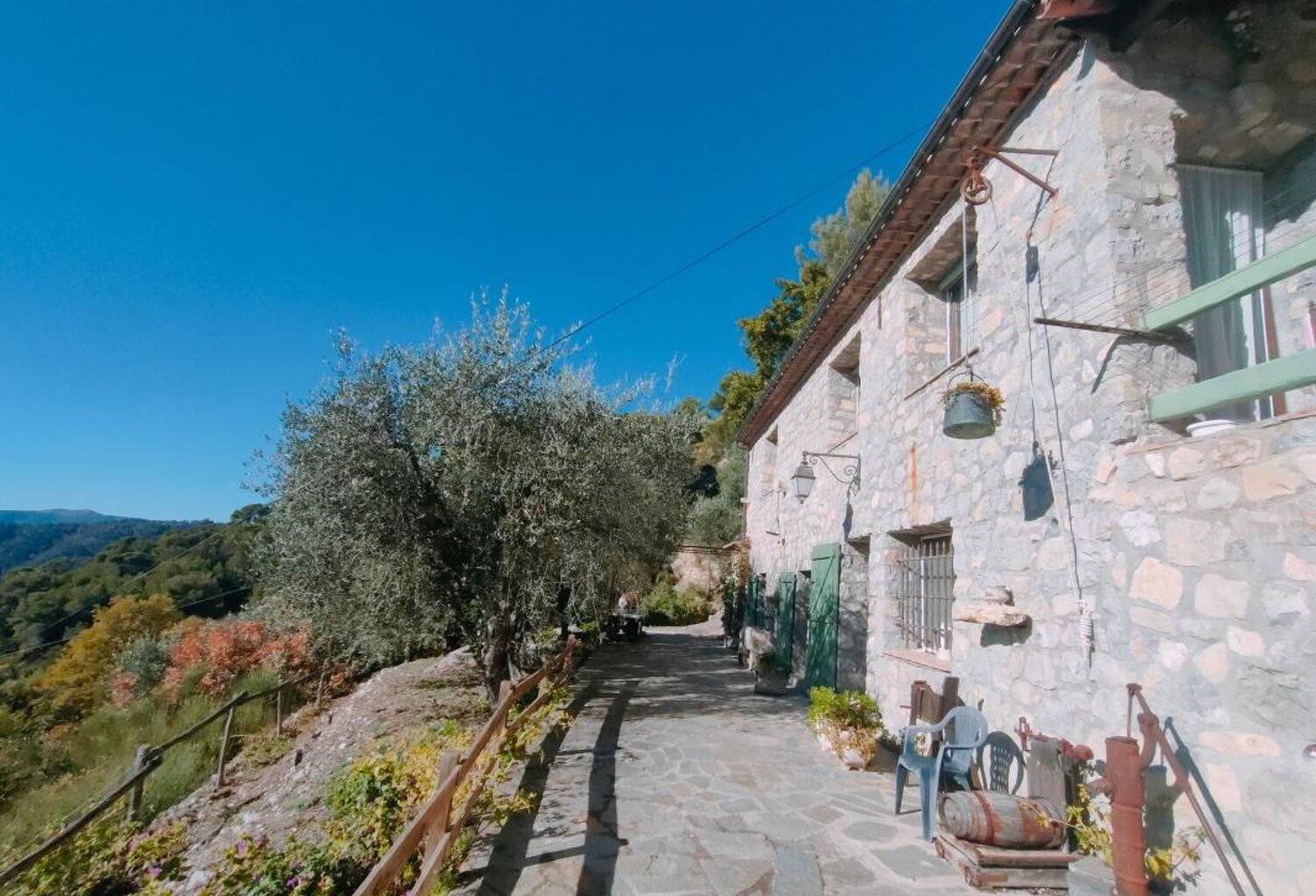 A vendre très belle propriété avec oliveraie à L'Esacrène — photo 1