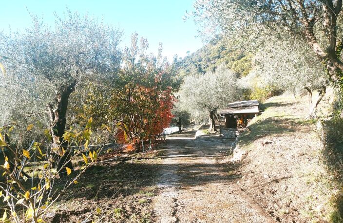 A vendre très belle propriété avec oliveraie à L'Esacrène — photo 3