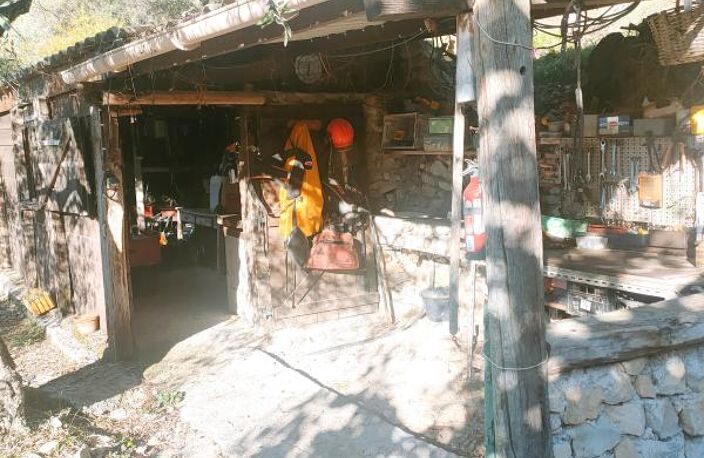 A vendre très belle propriété avec oliveraie à L'Esacrène — photo 4