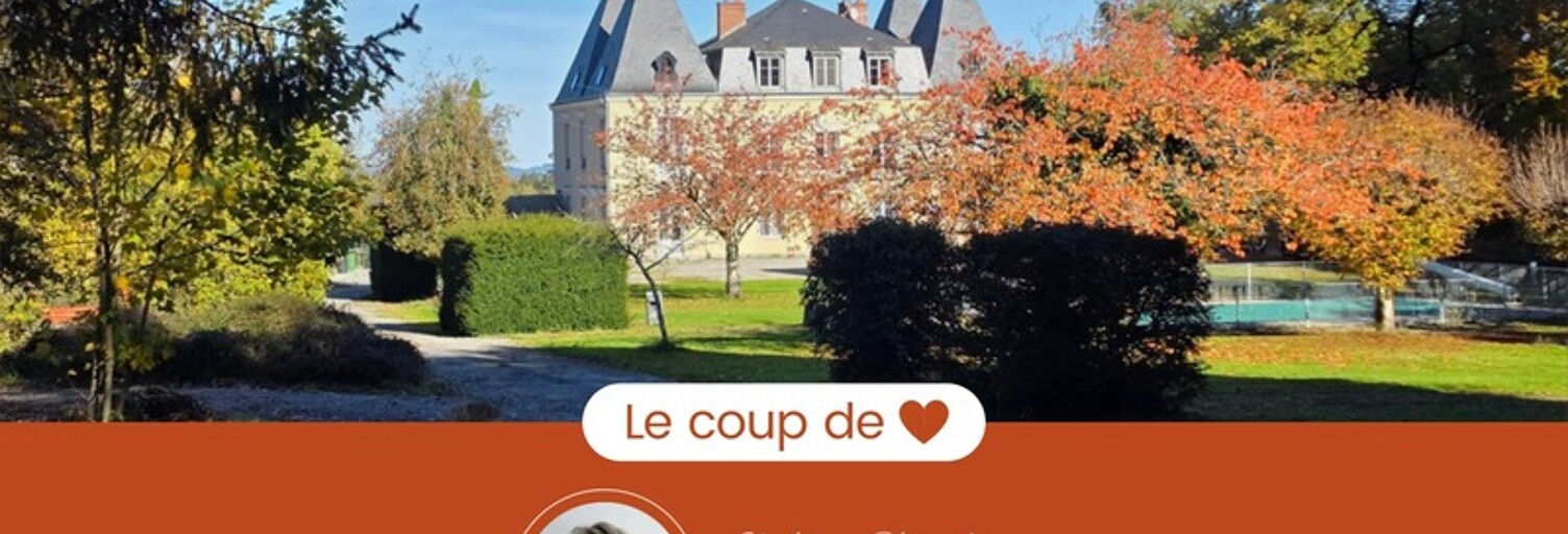 Maison 12 Pièces 633 m² à vendre à Châteauneuf-la-Forêt (87130)