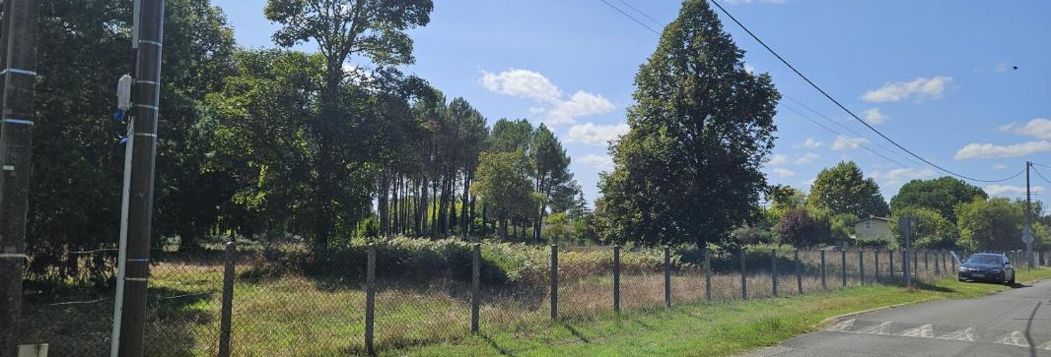 Terrain 1600 m² à construire Uzeste (33730)