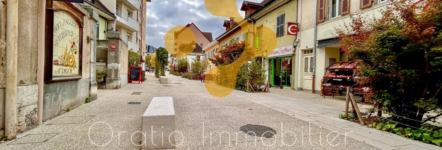 Commerce 1 Pièce 44 m² à vendre à Rumilly (74150)