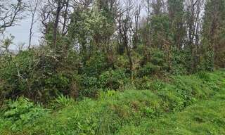 Terrain  1193 m² à vendre à Crozon (29160)